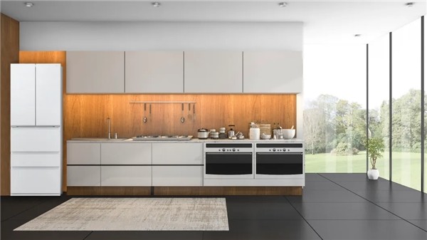 著名电视节目推荐AQUA冰箱品牌众多如何选？日本