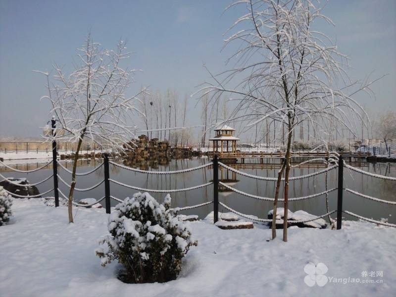 北京市第一社会福利院2026最新收费标准公办标杆医养结合专业护理福利院哪家好？(图13)