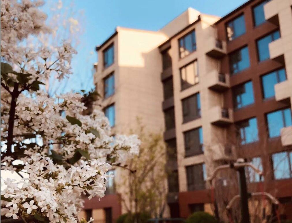 月多少钱北京松堂关怀医院｜临终+收费详情2026最新临终关怀比较好的养老院一个(图62)